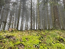 IMG_1310