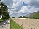 IMG_1718