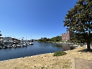 IMG_2330