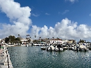 IMG_0339