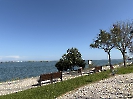 IMG_0373