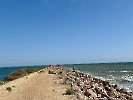 IMG_0378