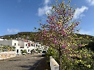 IMG_0423