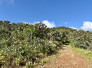 IMG_0434