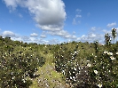 IMG_0440