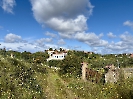 IMG_0441
