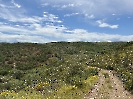 IMG_0455