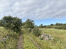 IMG_0468