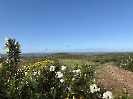 IMG_0469