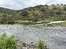 IMG_0479