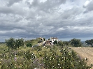 IMG_0493