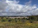 IMG_0501