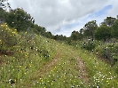 IMG_0504