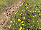 IMG_0505