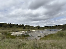 IMG_0512