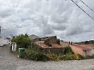 IMG_0515