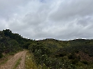 IMG_0531