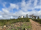 IMG_0569