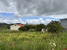 IMG_0578