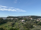 IMG_0590