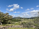 IMG_0592