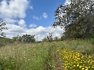 IMG_0596
