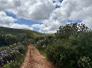 IMG_0597