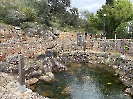IMG_0605