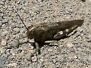 IMG_0639