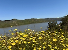 IMG_0666