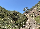 IMG_0677
