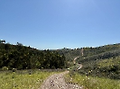 IMG_0683