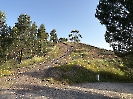 IMG_0768