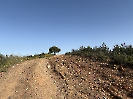 IMG_0774