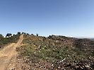 IMG_0775