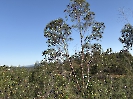 IMG_0776