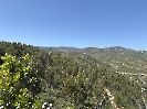 IMG_0782