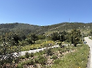 IMG_0783