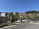 IMG_0809