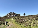 IMG_0826