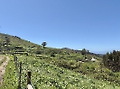 IMG_0834