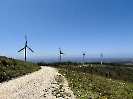 IMG_0839