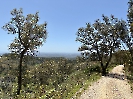 IMG_0840