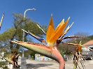 IMG_0847