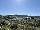 IMG_0856