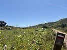 IMG_0875