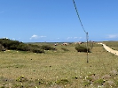 IMG_0931