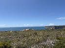 IMG_0934