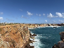IMG_0955