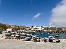 IMG_0976